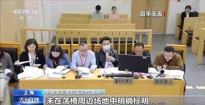 儿童玩荡椅意外身亡 责任谁来担？(图8)