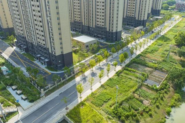 九游app：柘林这处安置房项目最新实景图一起来看看→(图9)