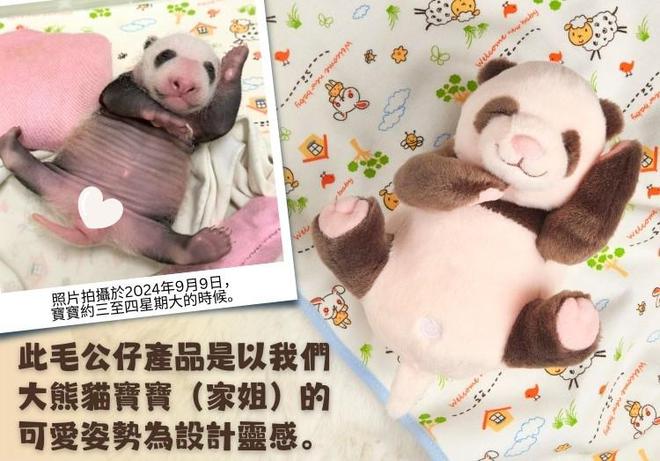 九游娱乐：1500港元“高价”熊猫观赏团上线 香港“熊猫经济” 能否成为新文旅增长点？(图5)