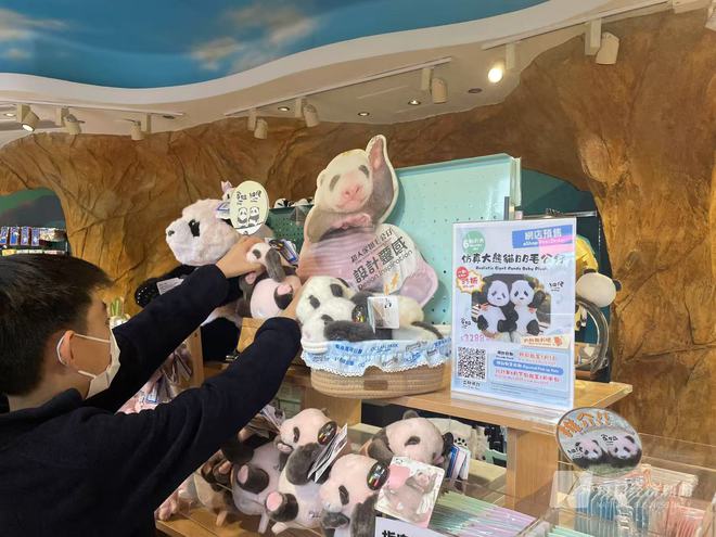 九游娱乐：1500港元“高价”熊猫观赏团上线 香港“熊猫经济” 能否成为新文旅增长点？(图4)