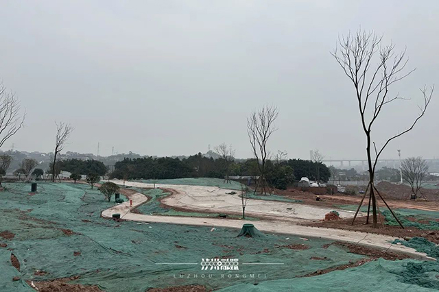 邓雅文的心愿落地泸州首个小轮车运动公园今夏开园！