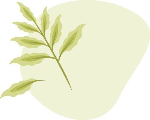 九游娱乐：全龄友好！北京朝阳又一处公园焕新归来