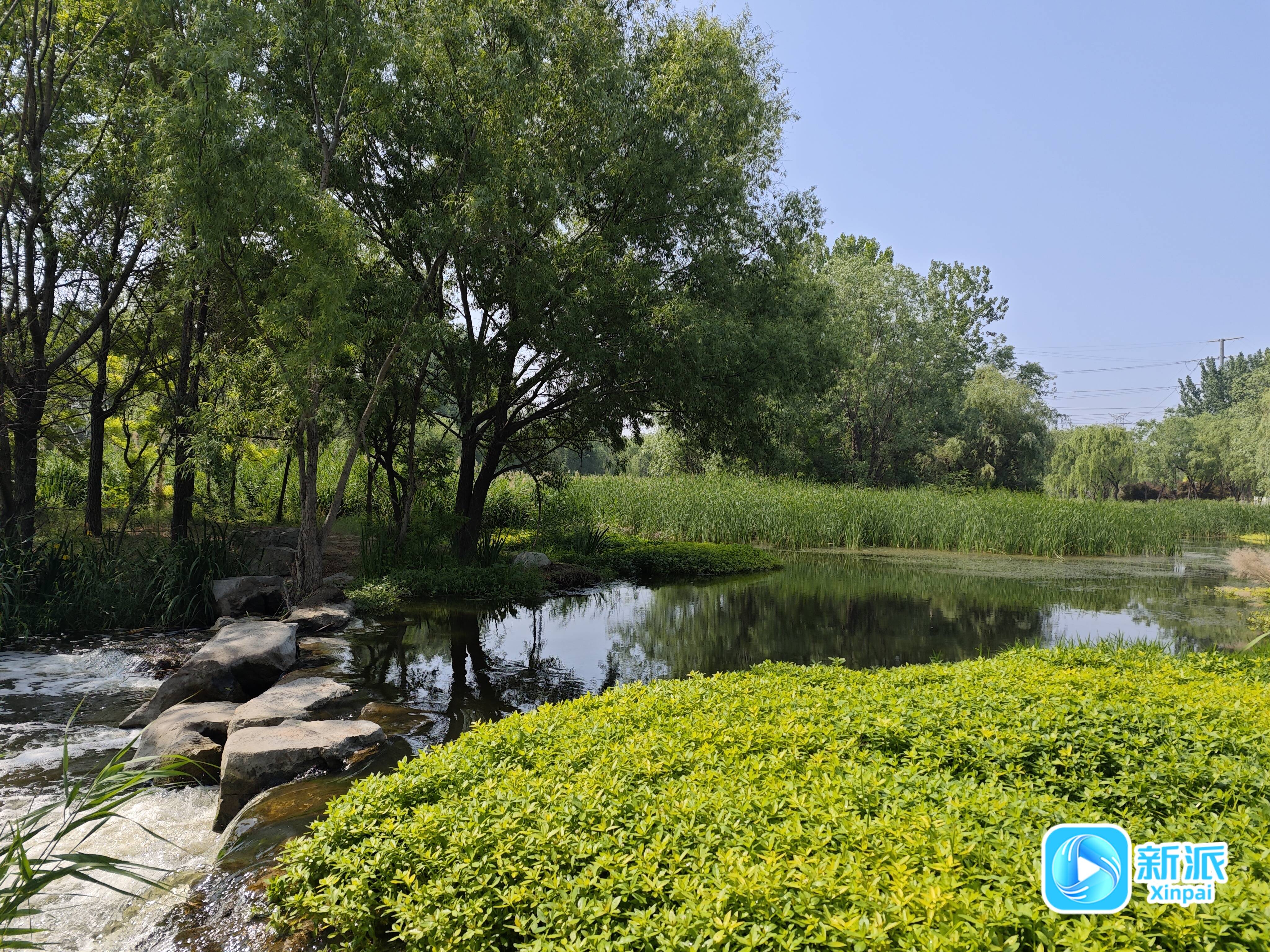 九游app：一起追春去！ 这些“宝藏”打卡地别错过(图3)