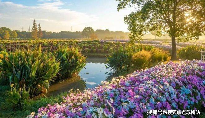 国印东方(国印东方售楼处)首页网站-售楼处欢迎您-楼盘详情-户型配套-位置(图23)