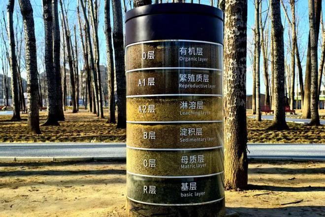 特色健身步道、儿童游乐场…快来顺义这处火出圈的宝藏公园逛一逛→(图9)