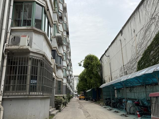 九游app：上海一小区跨越两个行政区竟实现“逆龄生长”秘诀是……(图4)