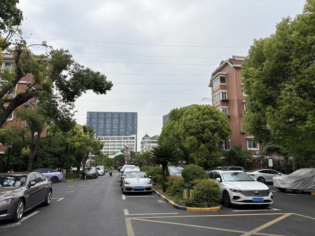 九游app：上海一小区跨越两个行政区竟实现“逆龄生长”秘诀是……(图3)