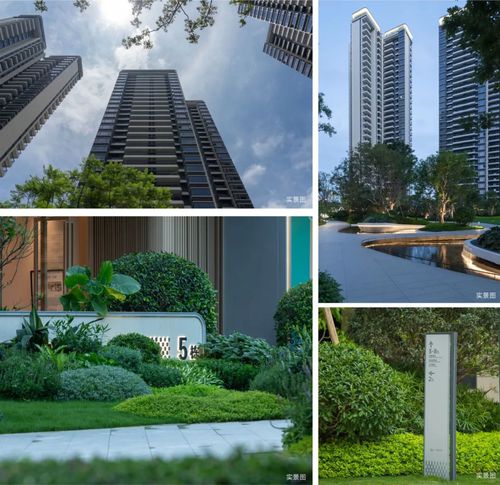 未来城市 新质社区MAX+新时代“好房子”引领者(图8)