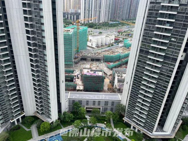 独家实探！直击北滘地王收楼广州客：心中大石落下(图12)