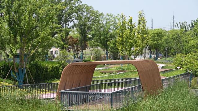 九游娱乐：普陀常和绿地开放！38万㎡滨水绿廊辐射8个居民区明年春天邂逅樱花步道(图2)
