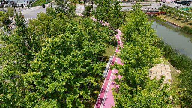 九游娱乐：普陀常和绿地开放！38万㎡滨水绿廊辐射8个居民区明年春天邂逅樱花步道(图1)