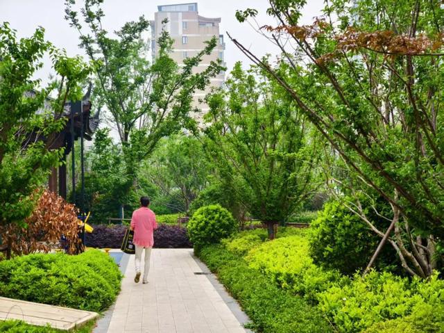 蚌埠这里闲置地块变身社区绿洲……(图5)