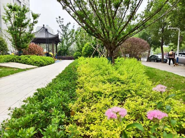 蚌埠这里闲置地块变身社区绿洲……(图2)