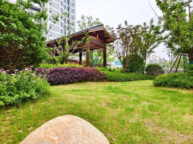 蚌埠这里闲置地块变身社区绿洲……(图1)
