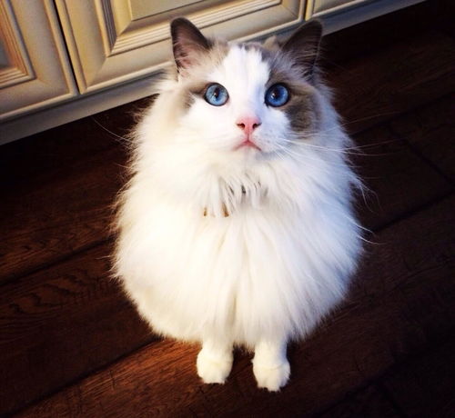 九游app：这个夏天商场靠孩子续命