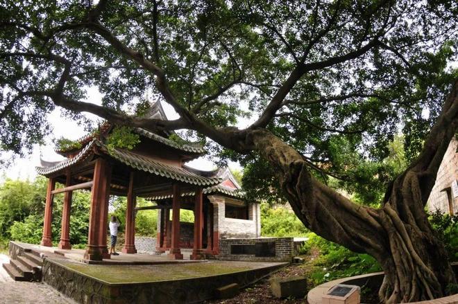 暑期必冲！桥头这些“遛娃”好去处别错过啦→(图8)