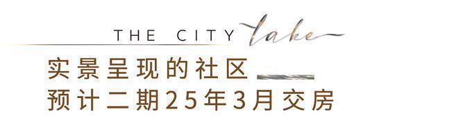 金山云湖壹号官方售楼处-云湖壹号2024最新楼盘详情-周边配套(图5)