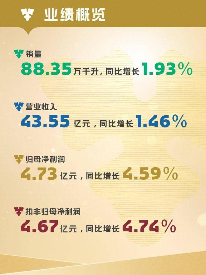 九游娱乐：重啤发布一季报：实现2025年稳健开局(图1)