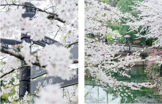 最新聚焦®中建虹悦里官方售楼处发布：虹口中建虹悦里优雅魅力尽显(图10)