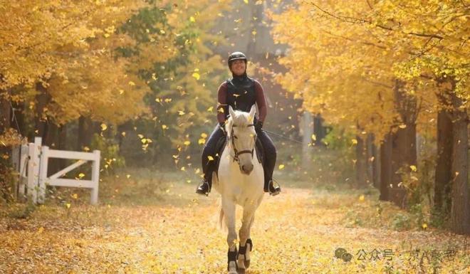 格拉斯小镇(售楼处)官方鲁能格拉斯小镇-2025新首页-北京房天下(图8)