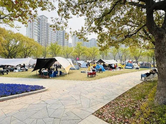 事关公园露营！上海确认：不得随意以安全为由禁止搭设……(图1)