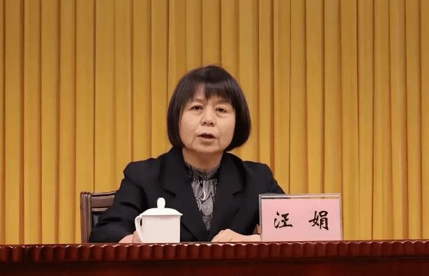 中央巡视期间王年生官宣被查(图2)