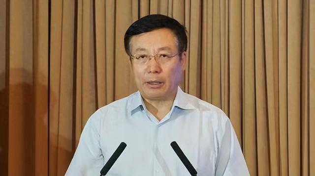 中央巡视期间王年生官宣被查(图3)
