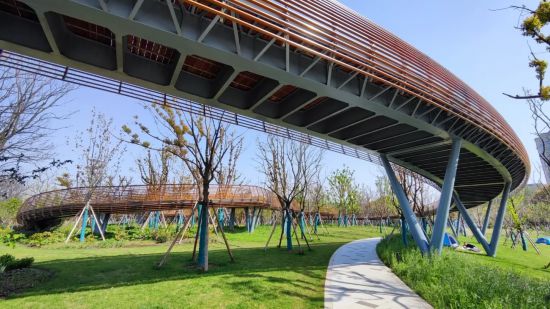 九游娱乐：上海第1000座公园是哪个公园？一起来了解一下(图4)