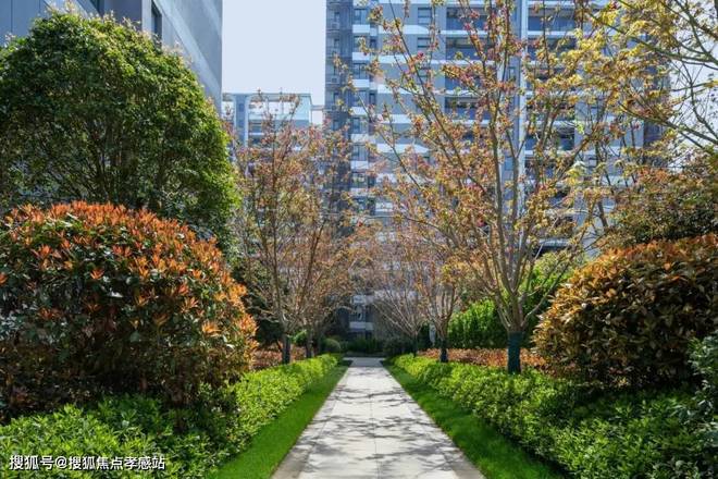 中建玖海云天：户型精研与精装细节打造临港科创芯舒适家(图10)