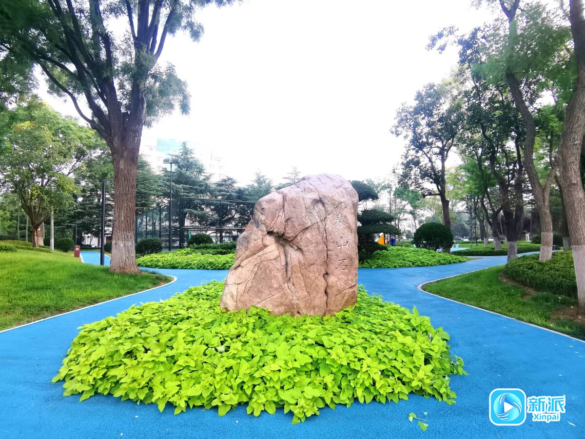 九游app：“潍”美游园 “坊”间探幽 绚彩·悦动园：激活城市“金边银角”让幸福空间触手可及