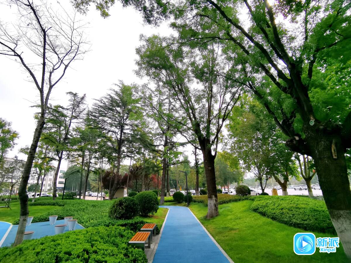 九游app：“潍”美游园 “坊”间探幽 绚彩·悦动园：激活城市“金边银角”让幸福空间触手可及(图5)