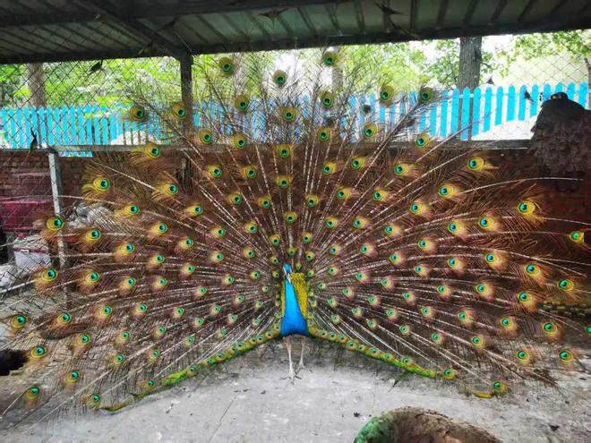 太好了！京城超大网绳乐园开学季优惠来了！(图4)