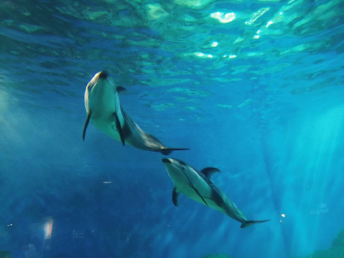 九游app：2025国庆重庆亲子游好去处推荐(图3)