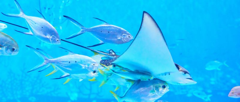 九游app：2025国庆重庆亲子游好去处推荐(图4)