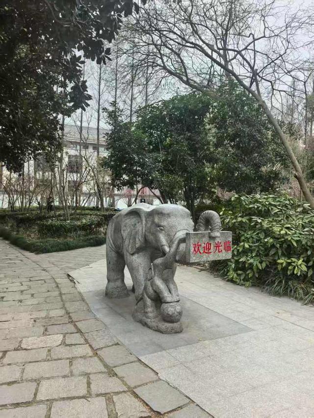 这个滑梯你小时候玩过吗？杨浦公园改造始于上世纪60年代的大象滑梯全新亮相还带来一个儿童乐园(图2)