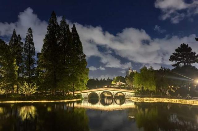 这个滑梯你小时候玩过吗？杨浦公园改造始于上世纪60年代的大象滑梯全新亮相还带来一个儿童乐园(图7)