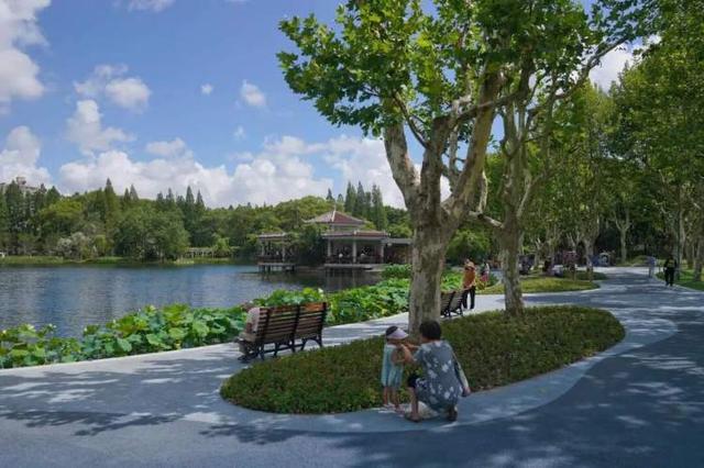 这个滑梯你小时候玩过吗？杨浦公园改造始于上世纪60年代的大象滑梯全新亮相还带来一个儿童乐园(图5)