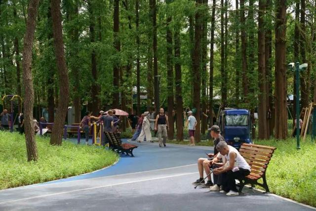 这个滑梯你小时候玩过吗？杨浦公园改造始于上世纪60年代的大象滑梯全新亮相还带来一个儿童乐园(图6)