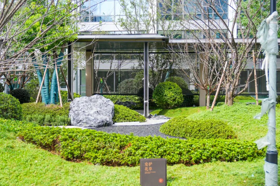 九游娱乐：在交付前5天我替业主们去看了这个主城大平层项目(图29)