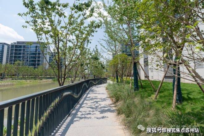 尚湾林语首页网站-尚湾林语售楼处电话-楼盘详情-交房时间-地址-最新房价户型图-小区环境-楼盘详情-交房时间-周边配套-售楼处电话(图14)
