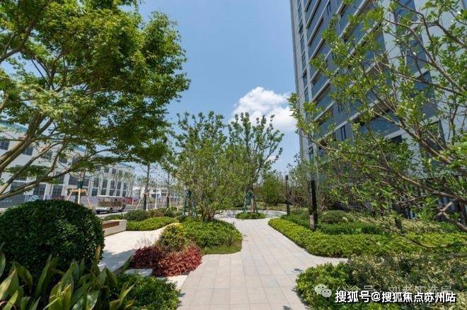 尚湾林语首页网站-尚湾林语售楼处电话-楼盘详情-交房时间-地址-最新房价户型图-小区环境-楼盘详情-交房时间-周边配套-售楼处电话(图19)
