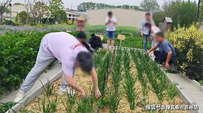 尚湾林语首页网站-尚湾林语售楼处电话-楼盘详情-交房时间-地址-最新房价户型图-小区环境-楼盘详情-交房时间-周边配套-售楼处电话(图30)