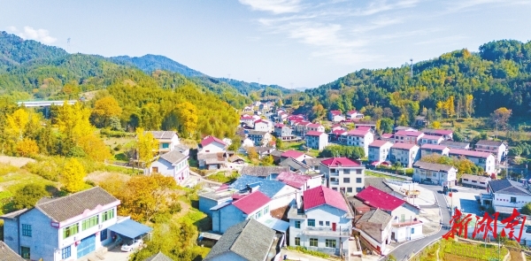 谱写茶乡巨变新篇章——省委宣传部（省文资委）系统乡村振兴对口帮扶安化县纪实湖南日报要闻头条(图3)