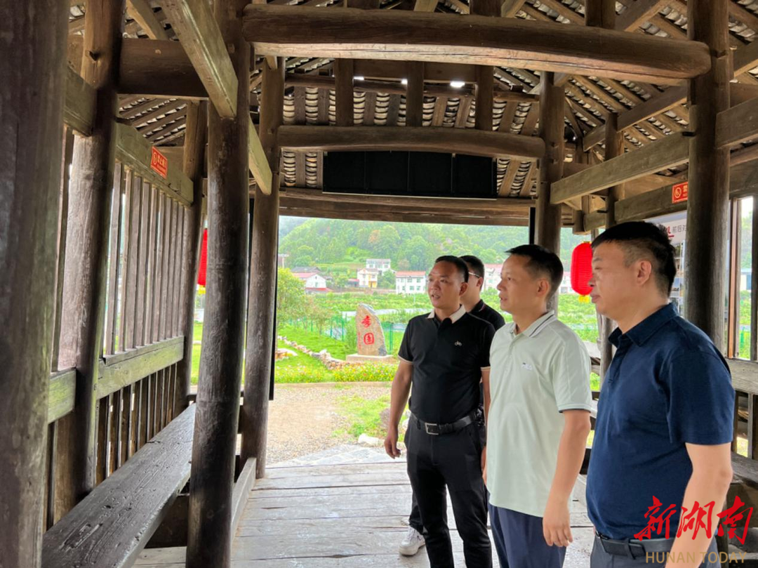 谱写茶乡巨变新篇章——省委宣传部（省文资委）系统乡村振兴对口帮扶安化县纪实湖南日报要闻头条(图5)