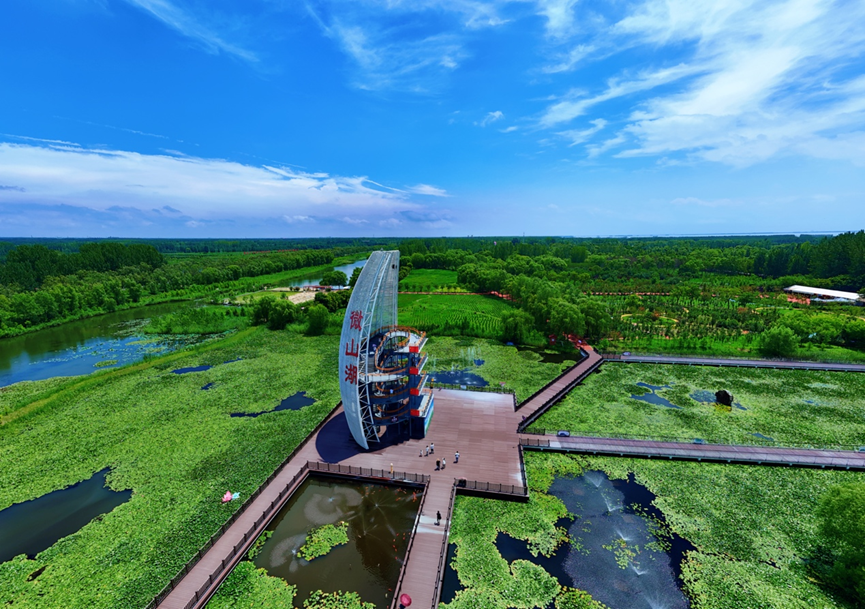 “误入藕花深处”照进现实！这片湿地打开夏日度假新方式