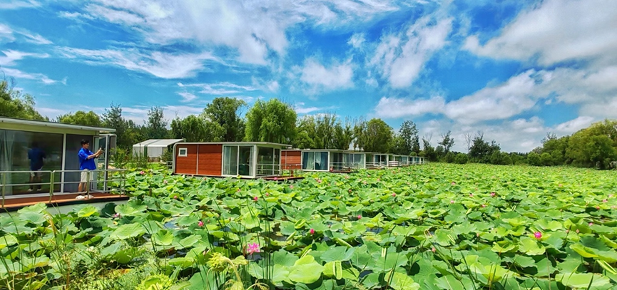 “误入藕花深处”照进现实！这片湿地打开夏日度假新方式(图2)