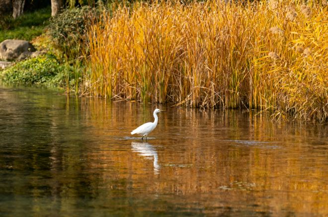 成都亲子旅游：带娃必去乐园 + 科普地轻松遛娃(图2)