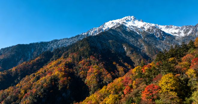 成都亲子旅游：带娃必去乐园 + 科普地轻松遛娃