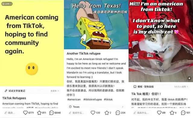 TikTok 的“白宫闯关”：大国博弈下的全球化新答案(图6)
