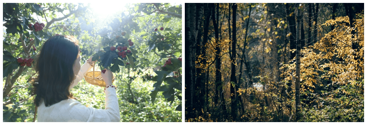 北京山谷：创新全龄社区模式定义京郊度假新生活(图6)